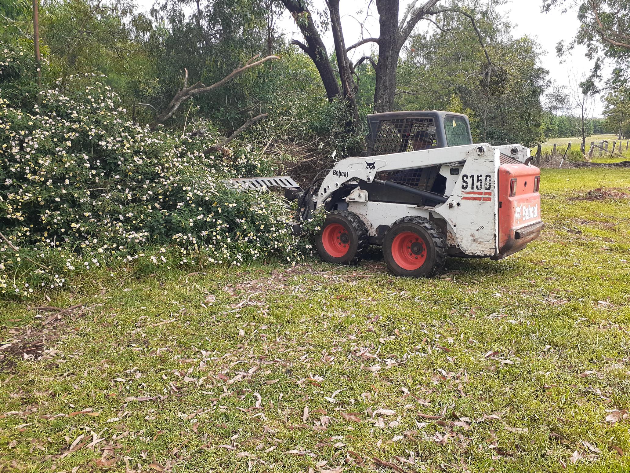 Presale Property Clean Up & Weed Control