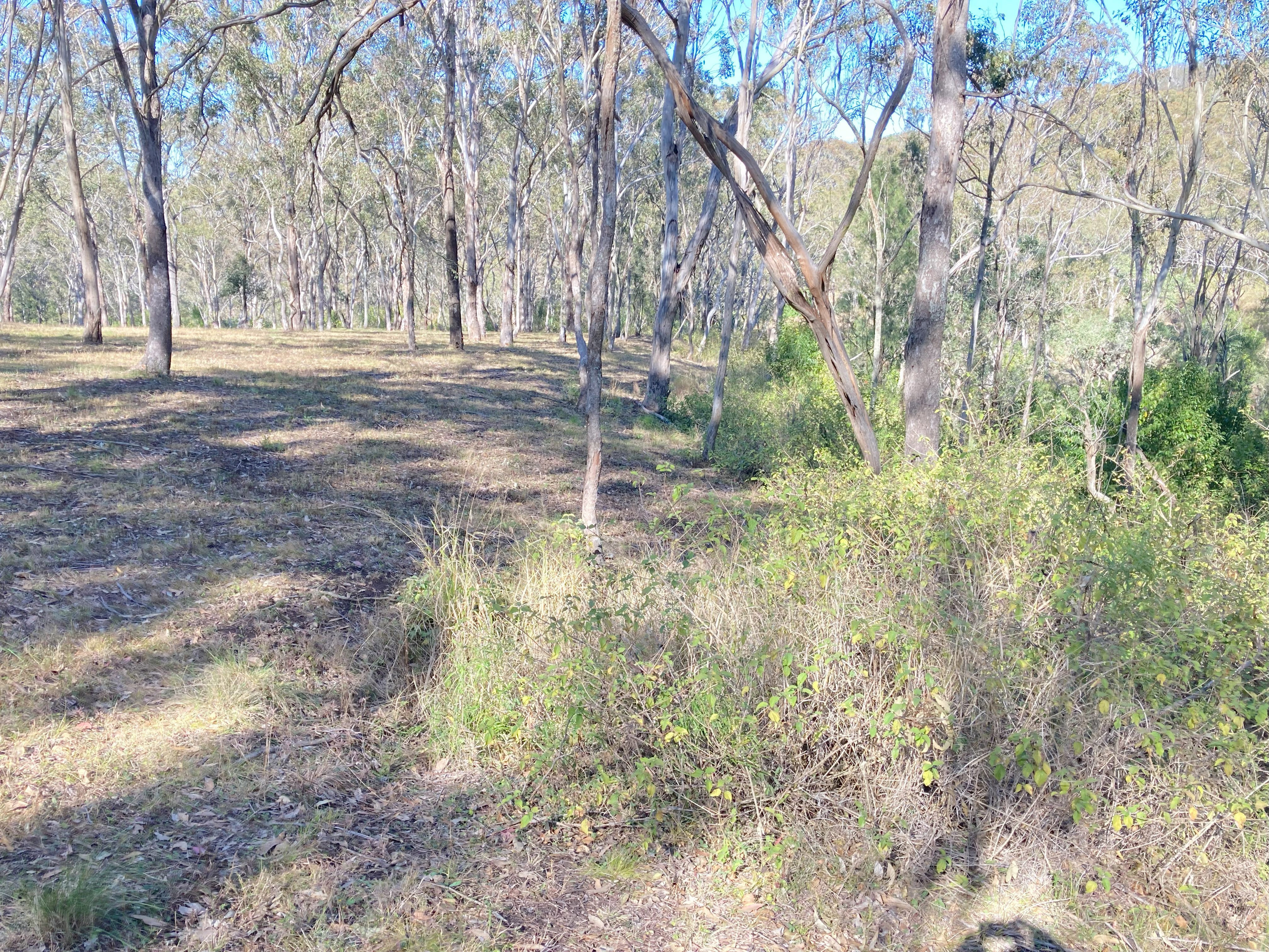 New Home Bushfire Attack Level (BAL) Assessment, Mount Rascal